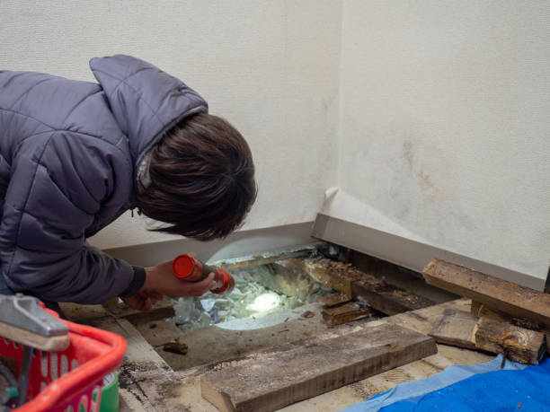 Best Indoor Air Quality Assessment  in Seis Lagos, TX