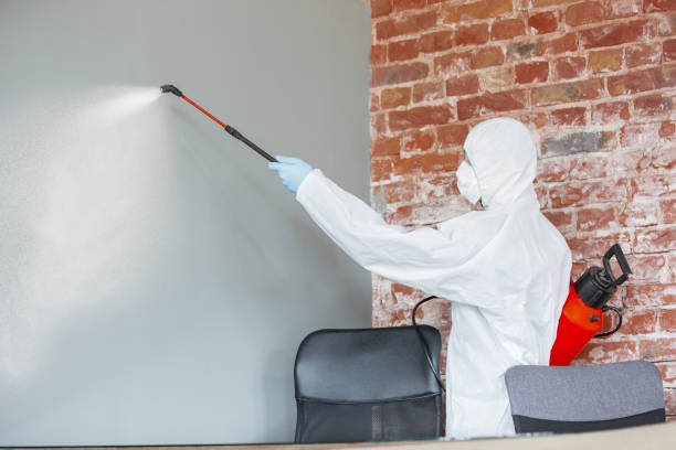 Best Mold Removal for HVAC Installations  in Seis Lagos, TX