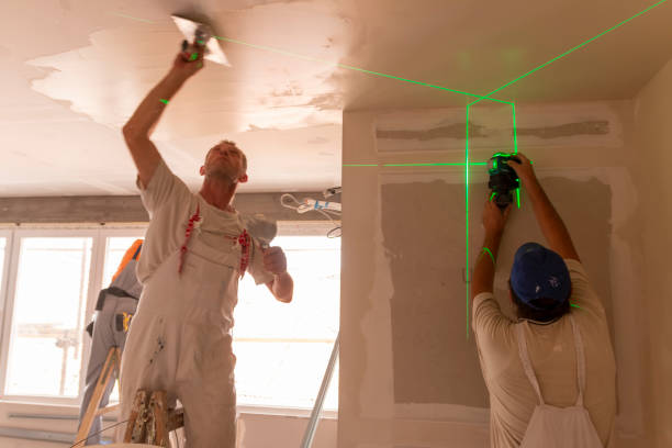  Seis Lagos, TX Mold Removal Pros