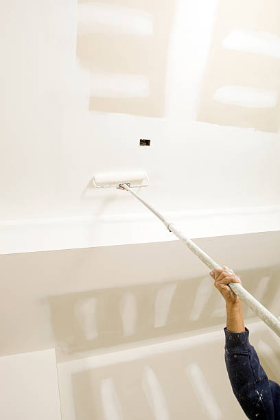 Best Attic Mold Removal  in Seis Lagos, TX