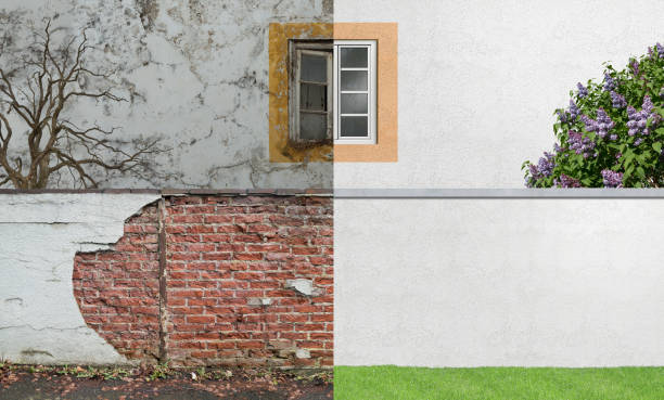 Best Emergency Mold Remediation  in Seis Lagos, TX