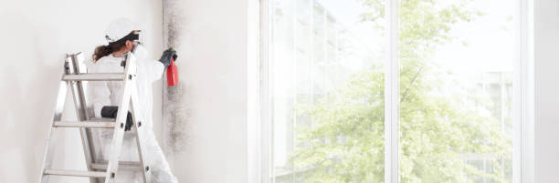 Best Air Quality Testing for Mold Spores  in Seis Lagos, TX