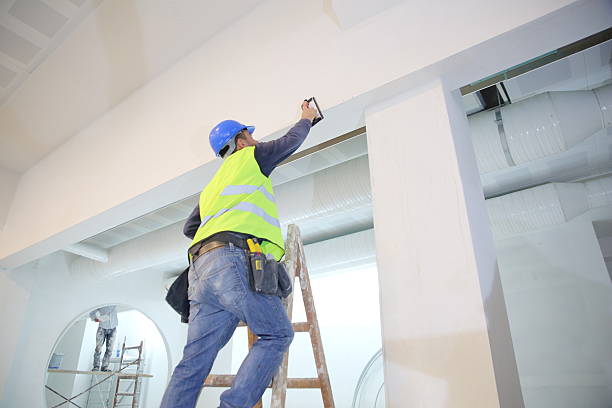 Best Black Mold Removal  in Seis Lagos, TX